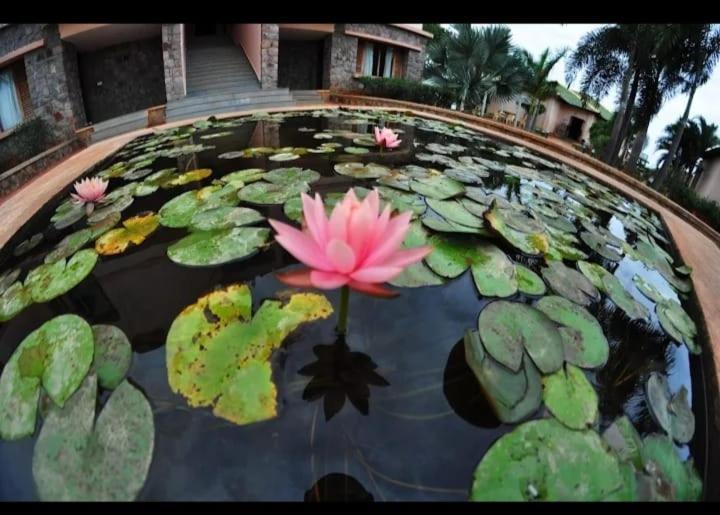 Krishna Heritage Resort Бадамі Екстер'єр фото